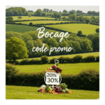 Bocage Code Promo : Le Guide Ultime pour Chausser l'Élégance à Petit Prix